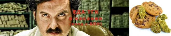 ПСИЛОЦИБИНОВЫЕ ГРИБЫ Горно-Алтайск