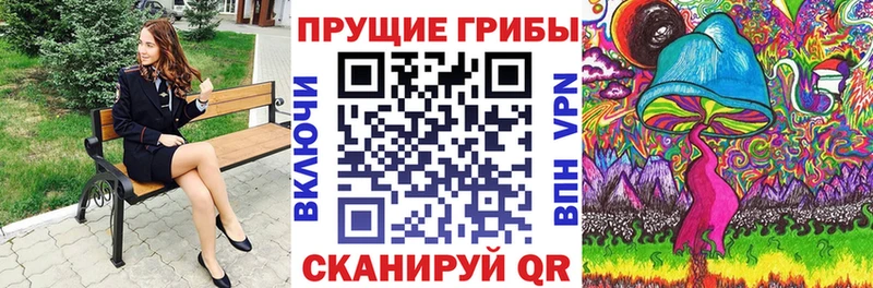 купить наркотик  это телеграм  Галлюциногенные грибы Cubensis  Плёс 